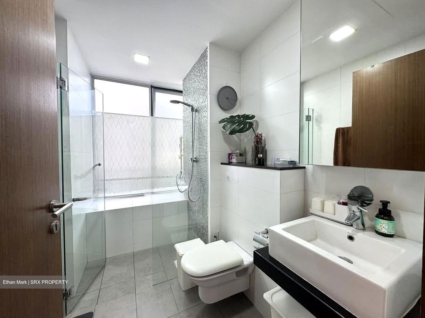 The Lucent (D15), Apartment #610288201